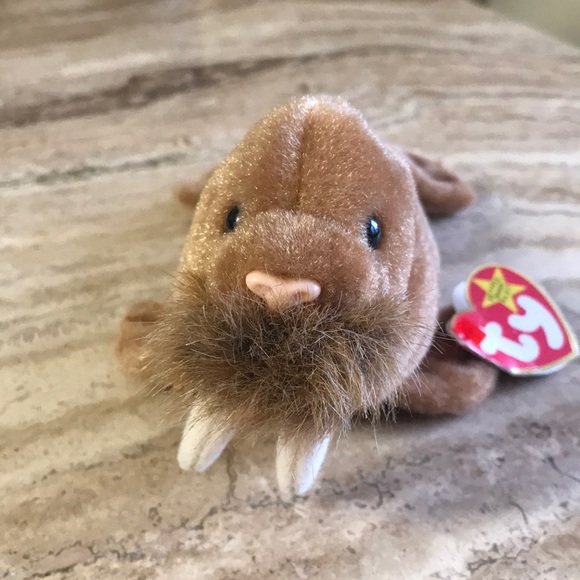 TY Walrus Beanie Baby | Paul - Picture 2 of 8